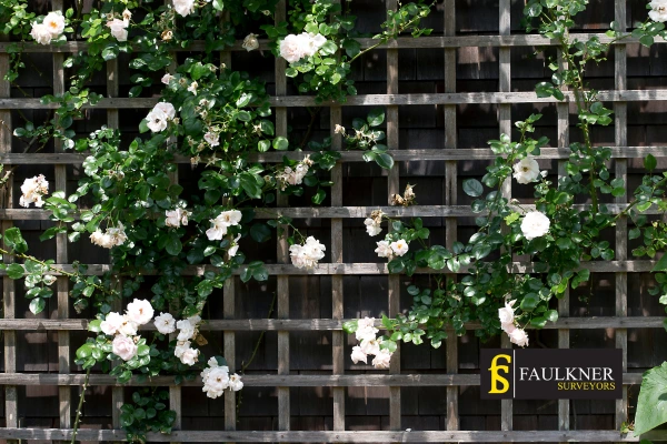 Can I put trellis on my Neighbours garage wall? 2 Do you want to adapt your neighbours garage door and add a trellis City-of-Westminster? Talk to Faulkner Surveyor City-of-Westminster